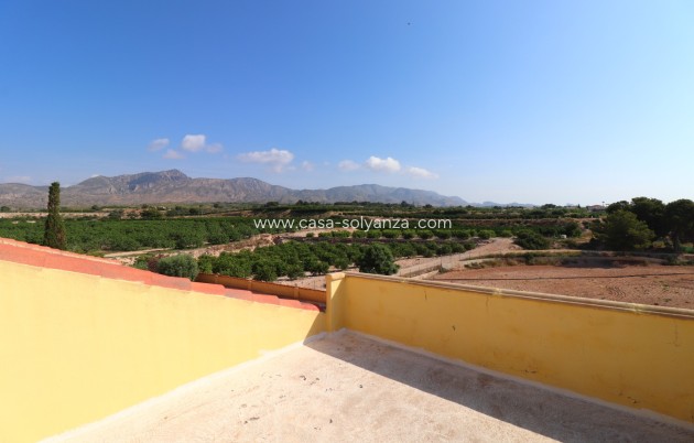 Wiederverkauf - Country Property/Finca - Albatera - Albatera - Country