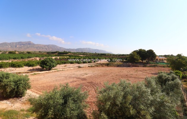 Wiederverkauf - Country Property/Finca - Albatera - Albatera - Country