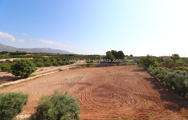 Wiederverkauf - Country Property/Finca - Albatera - Albatera - Country