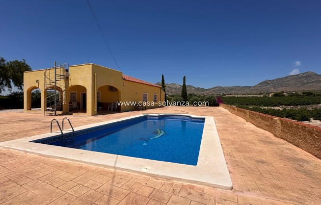 Wiederverkauf - Country Property/Finca - Albatera - Albatera - Country