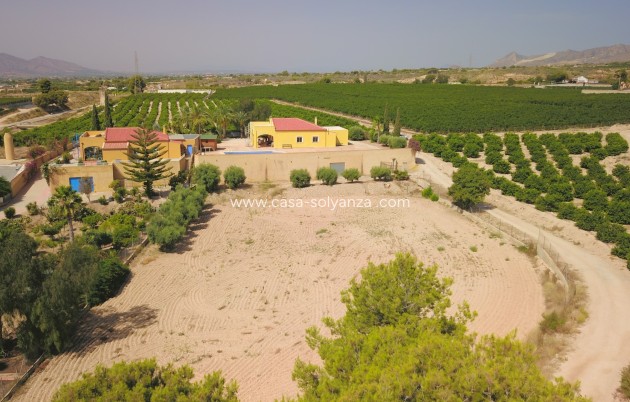 Wiederverkauf - Country Property/Finca - Albatera - Albatera - Country