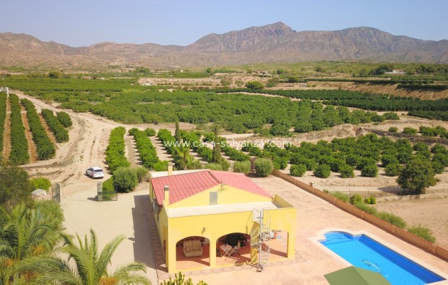 Wiederverkauf - Country Property/Finca - Albatera - Albatera - Country
