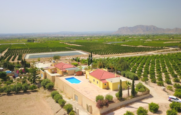 Wiederverkauf - Country Property/Finca - Albatera - Albatera - Country