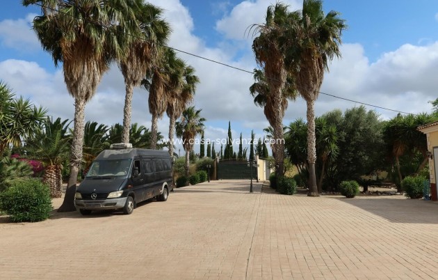 Revente - Maison de ville - Orihuela - Inland