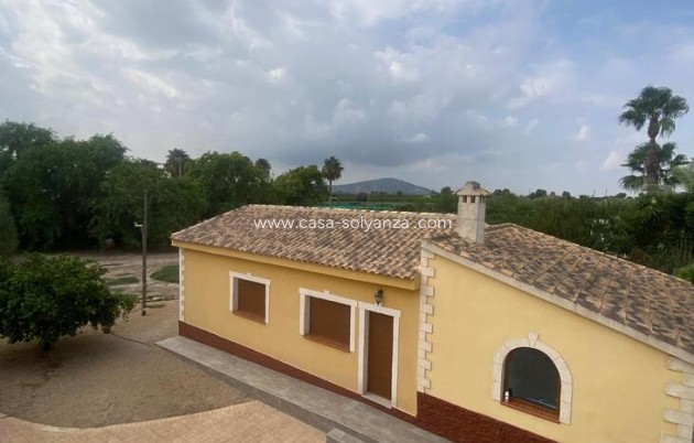 Revente - Maison de ville - Orihuela - Inland