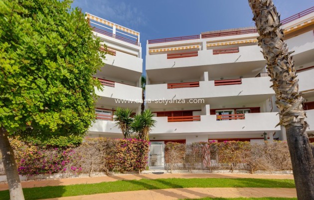 Revente - Appartement - Orihuela Costa - Playa Flamenca