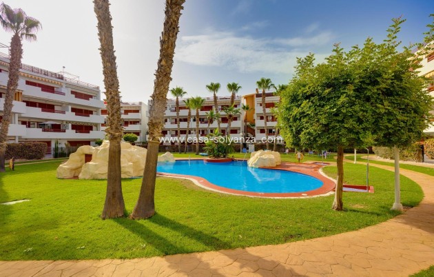 Revente - Appartement - Orihuela Costa - Playa Flamenca