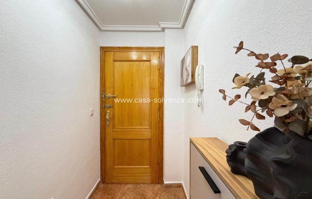 Revente - Appartement - Torrevieja - PARQUE DE LAS NACIONES