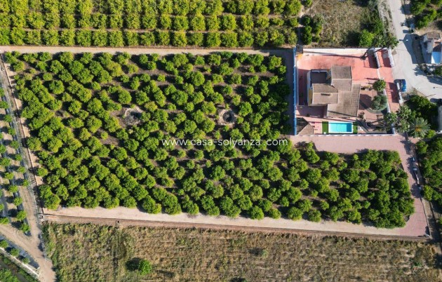 Revente - Villa - Orihuela - CAMPO