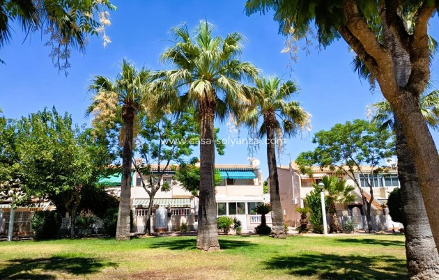 Revente - Bungalow - Orihuela Costa - La Regia