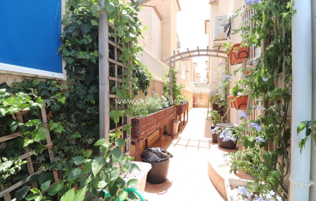 Resale - Villa - Algorfa - Montebello