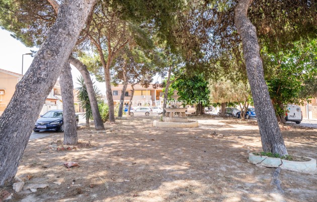 Revente - Appartement - Torrevieja - La veleta