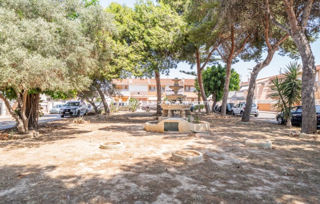 Revente - Appartement - Torrevieja - La veleta