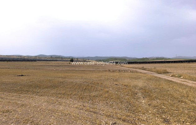 Wiederverkauf - Land - Yecla - Inland