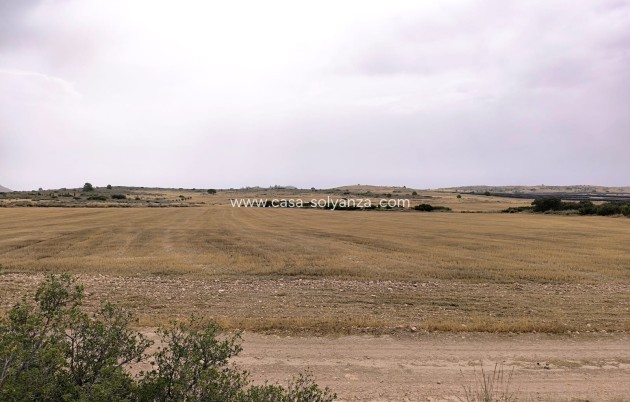 Wiederverkauf - Land - Yecla - Inland