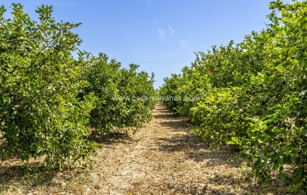 Revente - Villa - Beniel - Inland