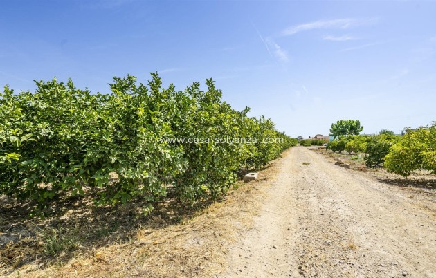 Revente - Villa - Beniel - Inland