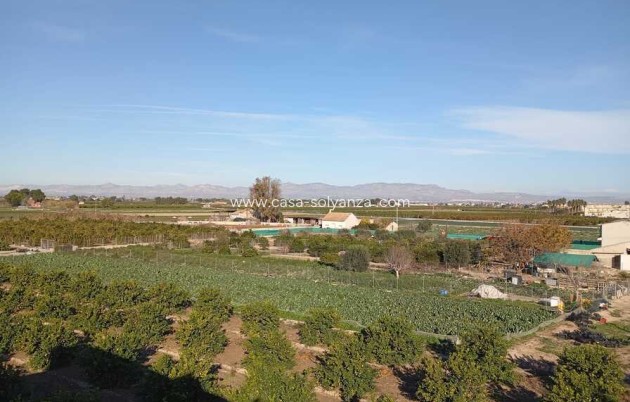 Revente - Appartement - Daya Nueva - Costa Blanca