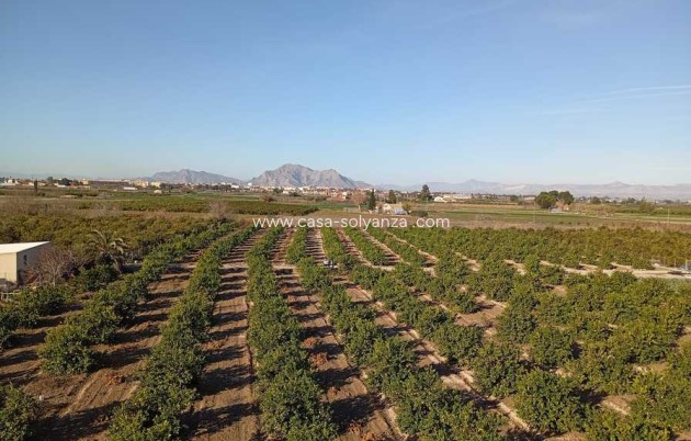 Revente - Appartement - Daya Nueva - Costa Blanca