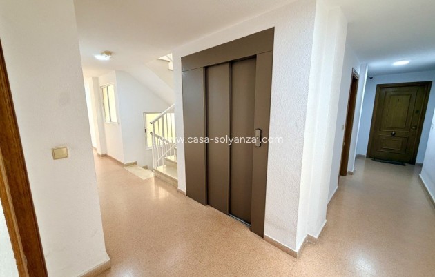 Revente - Appartement - Guardamar del Segura - Costa Blanca