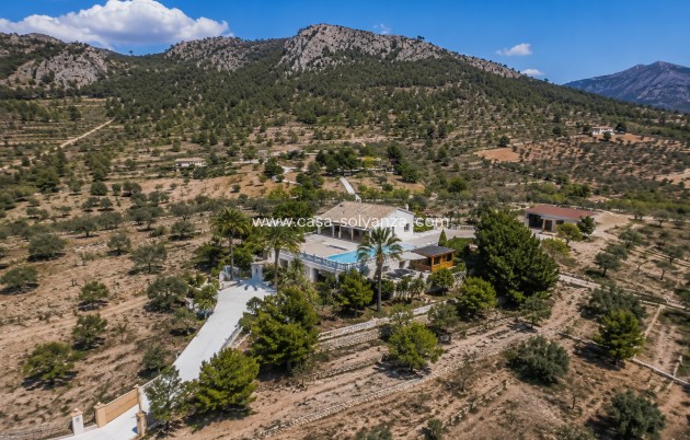 Resale - Villa Detached - La Zarza - Inland