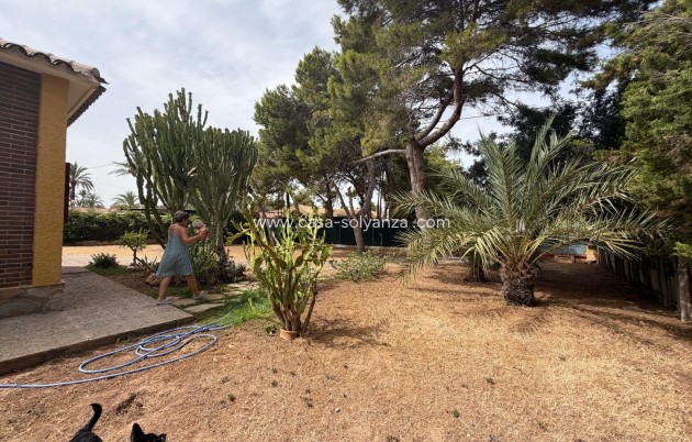 Revente - Villa - Cabo Roig - Orihuela Costa