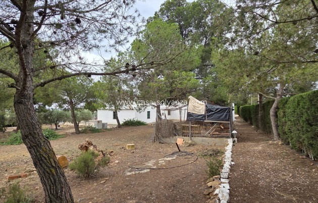 Revente - Appartement - Pinoso