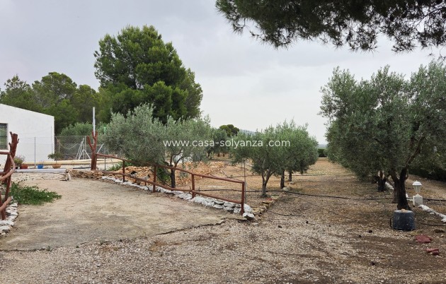 Revente - Appartement - Pinoso