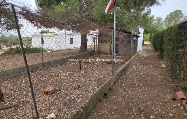 Revente - Appartement - Pinoso