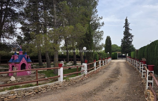 Revente - Appartement - Pinoso