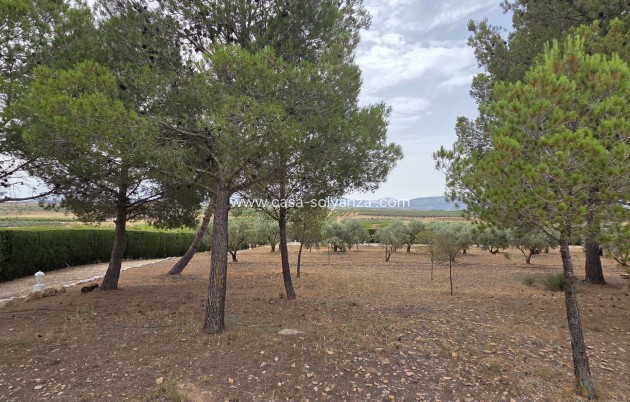 Revente - Appartement - Pinoso