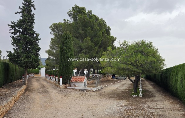 Revente - Appartement - Pinoso
