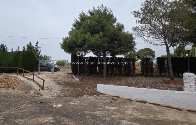 Revente - Appartement - Pinoso