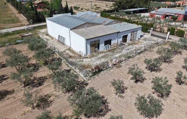 Revente - Appartement - Yecla