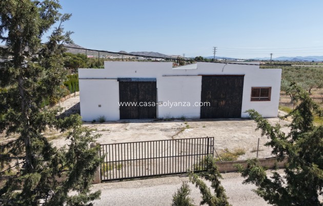 Revente - Appartement - Yecla