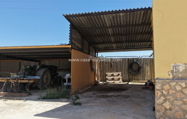 Revente - Appartement - Yecla