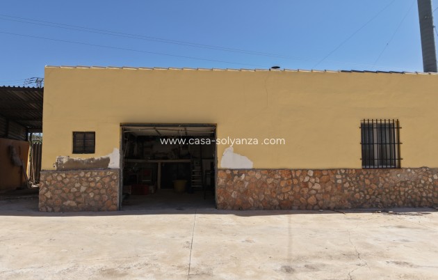 Revente - Appartement - Yecla