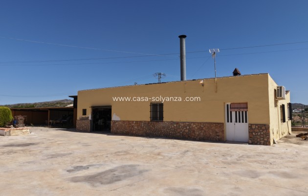 Revente - Appartement - Yecla