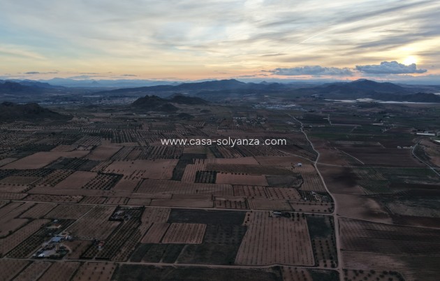 Reventa - Apartamento / piso - Murcia