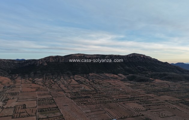Reventa - Apartamento / piso - Murcia