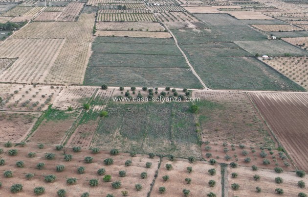 Wiederverkauf - Wohnung - Murcia
