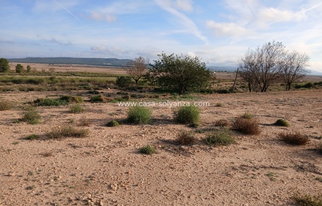 Revente - Appartement - Yecla
