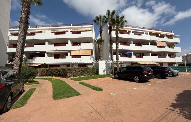 Revente - Appartement - Orihuela - Playa Flamenca