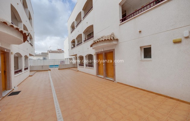 Herverkoop - Appartement / flat - San Fulgencio - centro