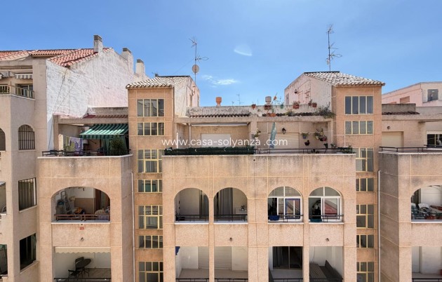Wiederverkauf - Wohnung - Torrevieja - Playa del Cura