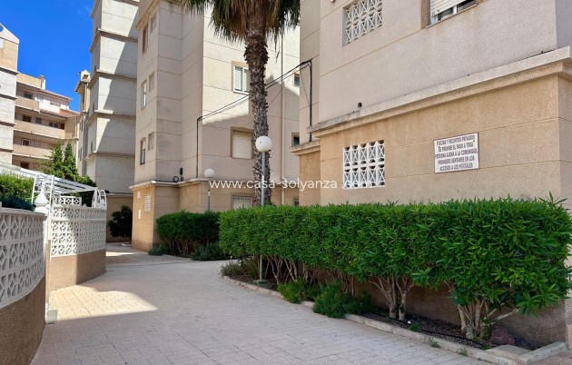 Resale - Apartment / flat - Torrevieja - Habaneras