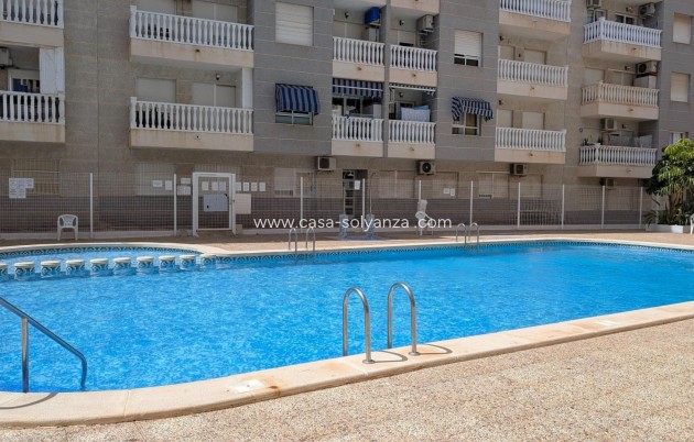 Herverkoop - Appartement / flat - Torrevieja - Estacion Autobuses