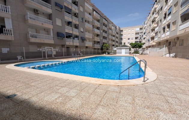 Herverkoop - Appartement / flat - Torrevieja - Estacion Autobuses