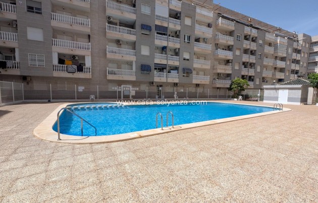 Herverkoop - Appartement / flat - Torrevieja - Estacion Autobuses
