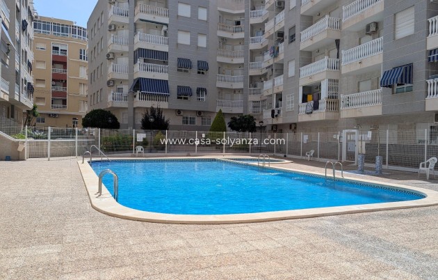 Herverkoop - Appartement / flat - Torrevieja - Estacion Autobuses